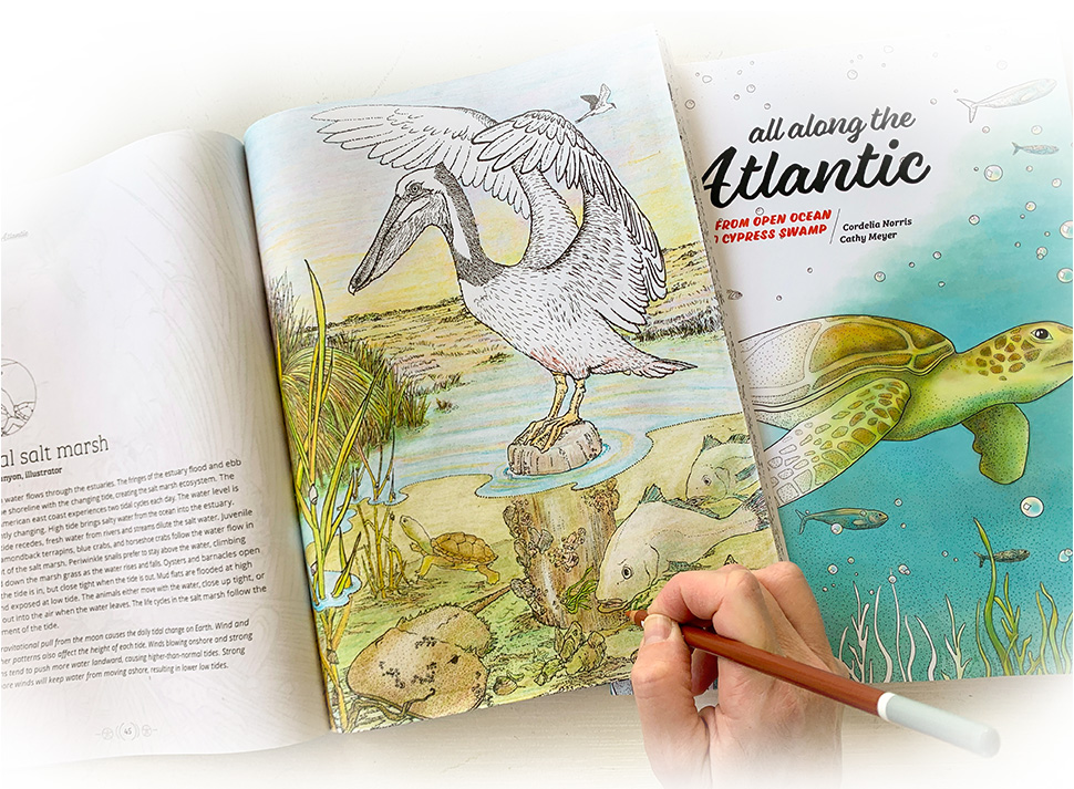All Along the Atlantic educational coloring book