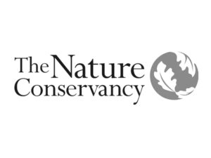 The logo of the Nature Conservancy, a client of Luna Creative